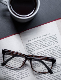 Bücherhafen, Bücher online kaufen, Büchershop Deutschland, Romane, Sachbücher, Bestseller, Neuerscheinungen, Lesespaß